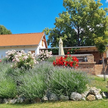 La Bobul Apartments Drnholec Екстериор снимка